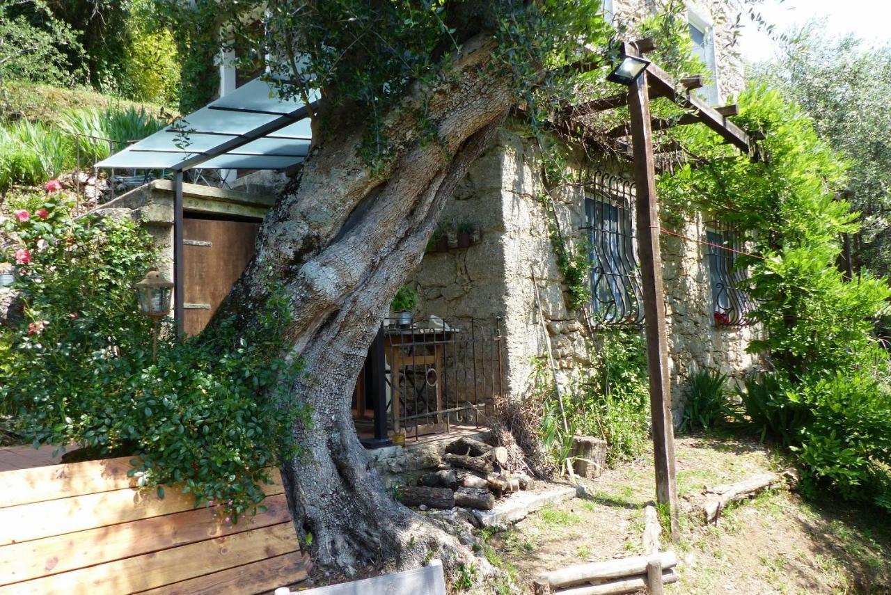 Villa Il Giaggiolo Camaiore Exterior foto