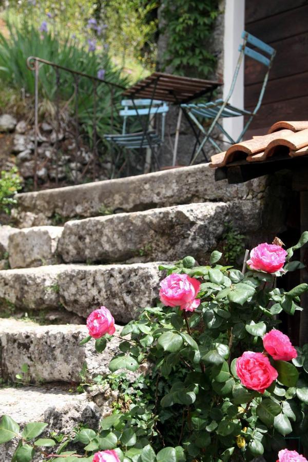 Villa Il Giaggiolo Camaiore Exterior foto