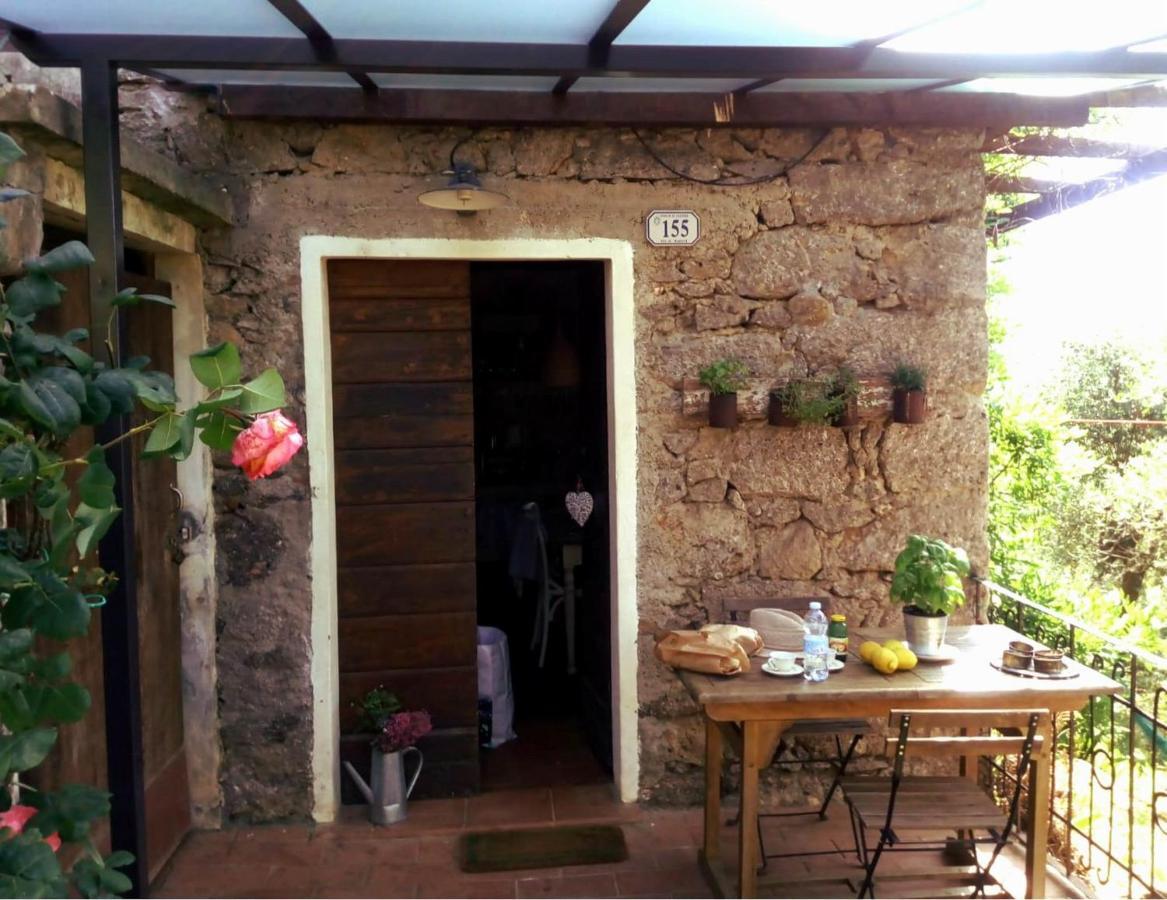 Villa Il Giaggiolo Camaiore Exterior foto